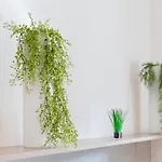 Appartement Daniela *